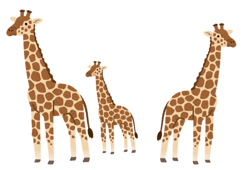 animals-giraffes