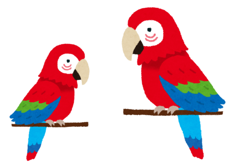 animals-parrots