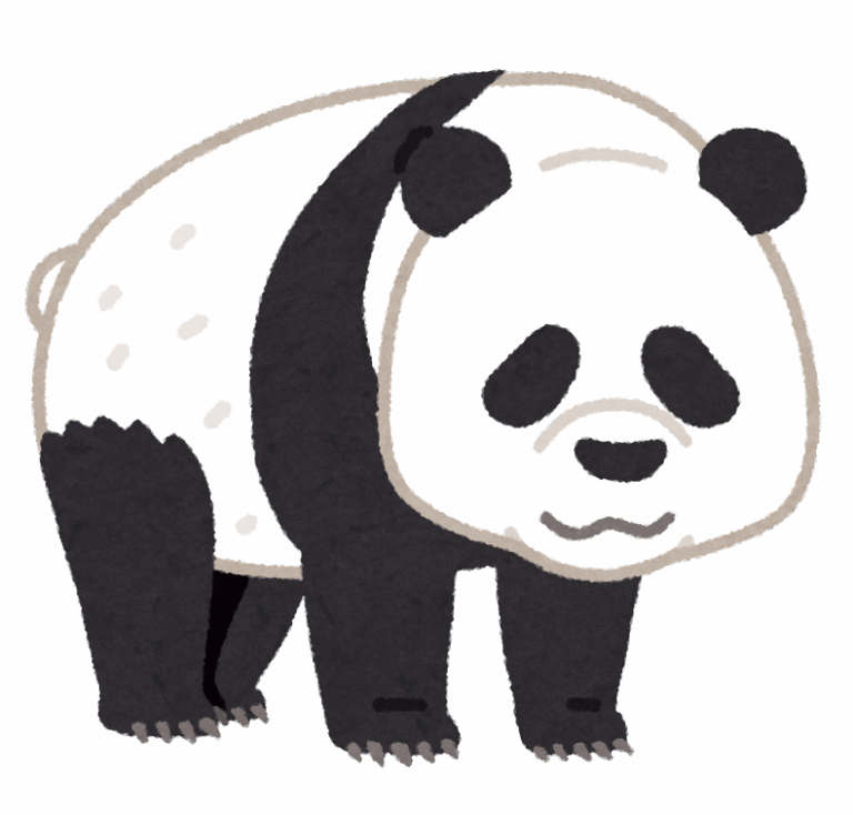 animals-panda