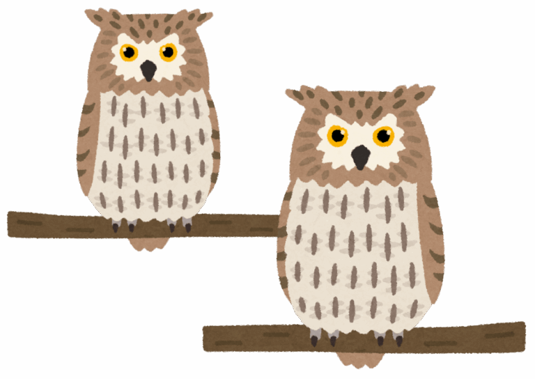 animals-predators-owls